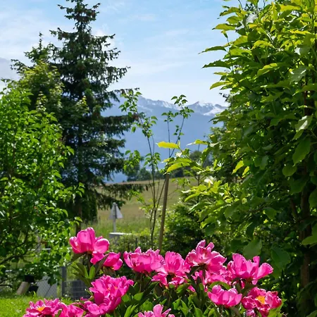 Apartament The Mountain View *