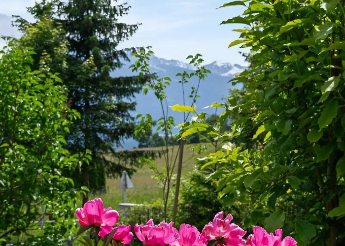 Apartment The Mountain View *